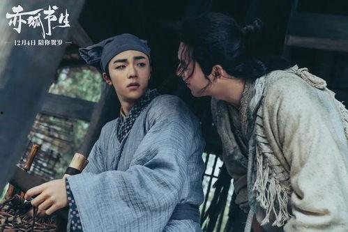 吃瓜书生电影简介,揭秘娱乐圈背后的秘密