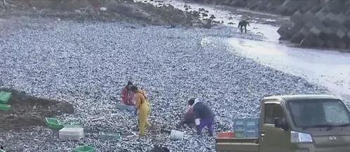 渔民现场吃瓜图片,共享丰收喜悦瞬间