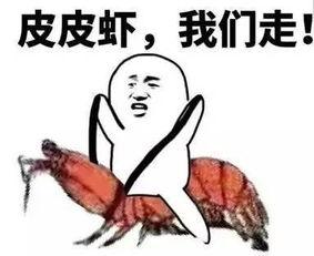 坐床上吃瓜,闲适生活新体验