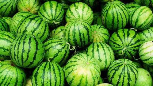 火爆吃瓜 在线,揭秘娱乐圈幕后风云