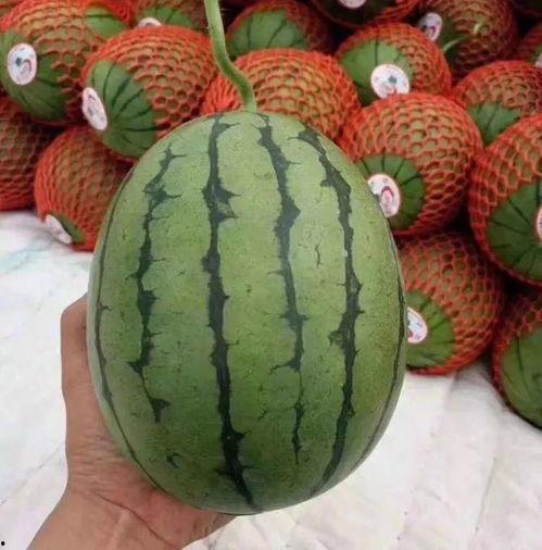 聊职吃瓜,揭秘那些“吃瓜”背后的故事